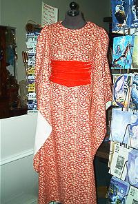 Photo of a waist cincher bodice