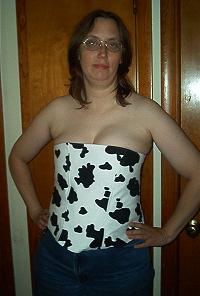 Photo of a corset-style bodice